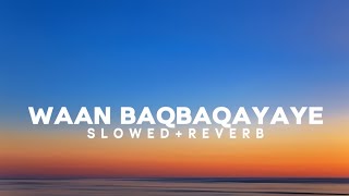 Waan Baqbaqayaye - Mustafe Kante (Slowed & reverb)