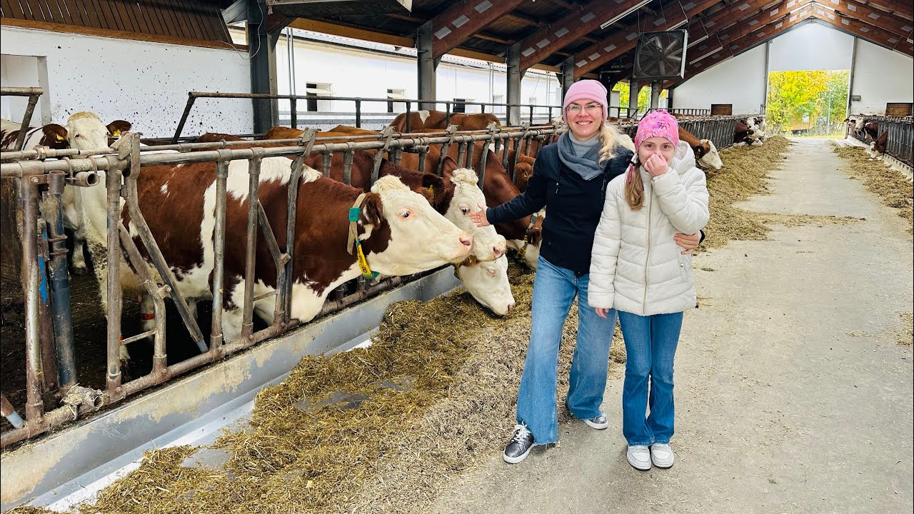 Уехали из города | молоко из Milchautomat🐄 куры 🐔  море тыкв 🎃