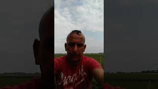 HALK EKRANI MEHDI GERÇEYÍ