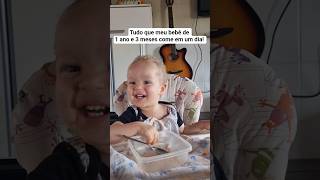 Tudo Que Meu Bebê De 1 Ano E 3 Meses Come Em Um Dia