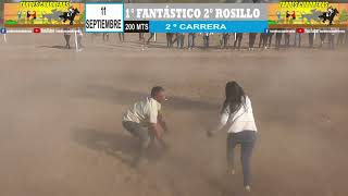 Fantastico  Cancha Hipica El Bruno  11092022