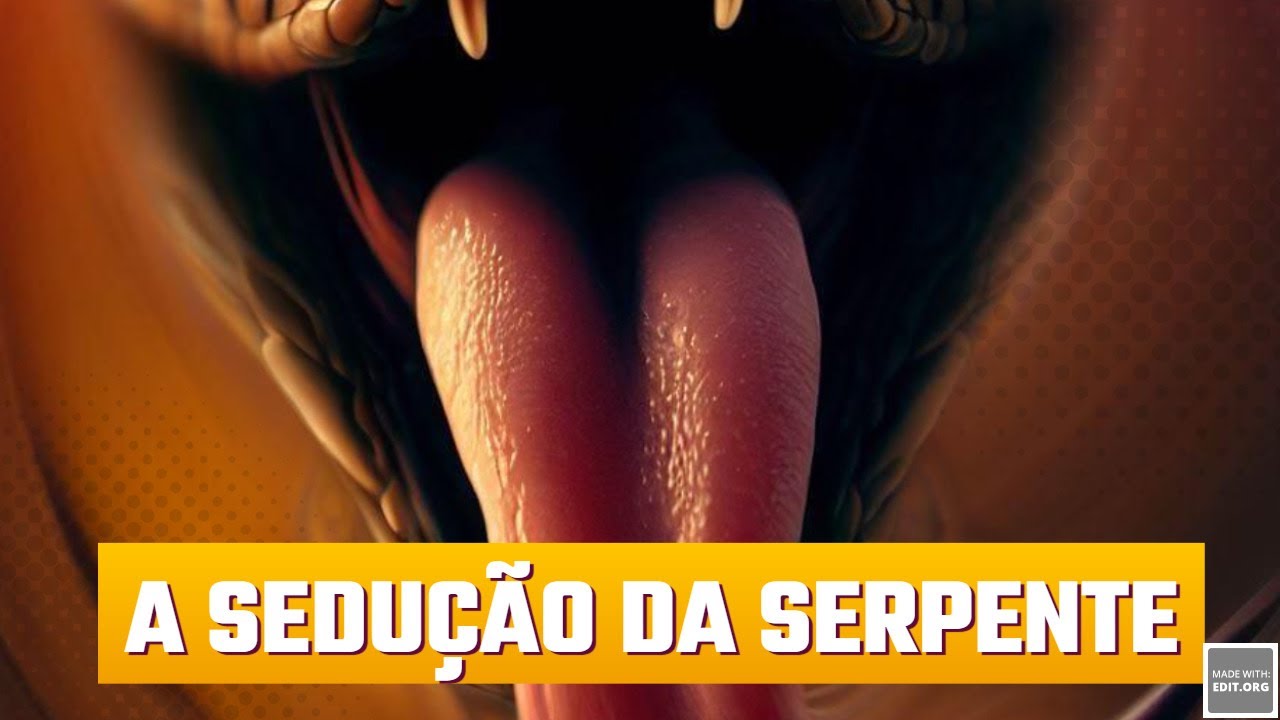 A SEDUÇÃO DA SERPENTE - YouTube