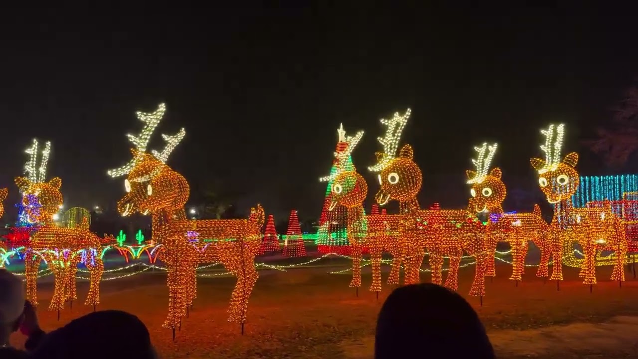 Santa’s Wonderland Christmas lights on hay ride 