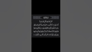سورة السجدة ١٨-٢٠ | محمد الفقيه | Surah AlSajda 18-20 | Mohamed Alfakeh