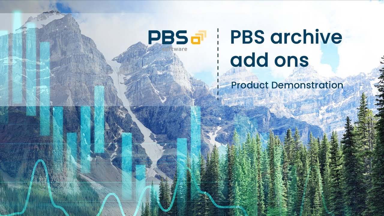Integrated access to SAP online and archive data, Product Demonstration PBS archive add ons