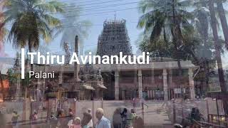 Thiruavinan Kudi - Kulandhai Velayudhaswami