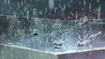 Iris MEP {Track #10}