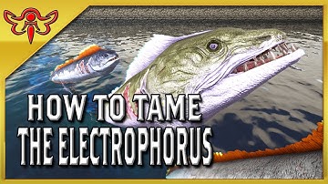 ARK: Survival Evolved Tutorial - How to Tame the Electrophorus