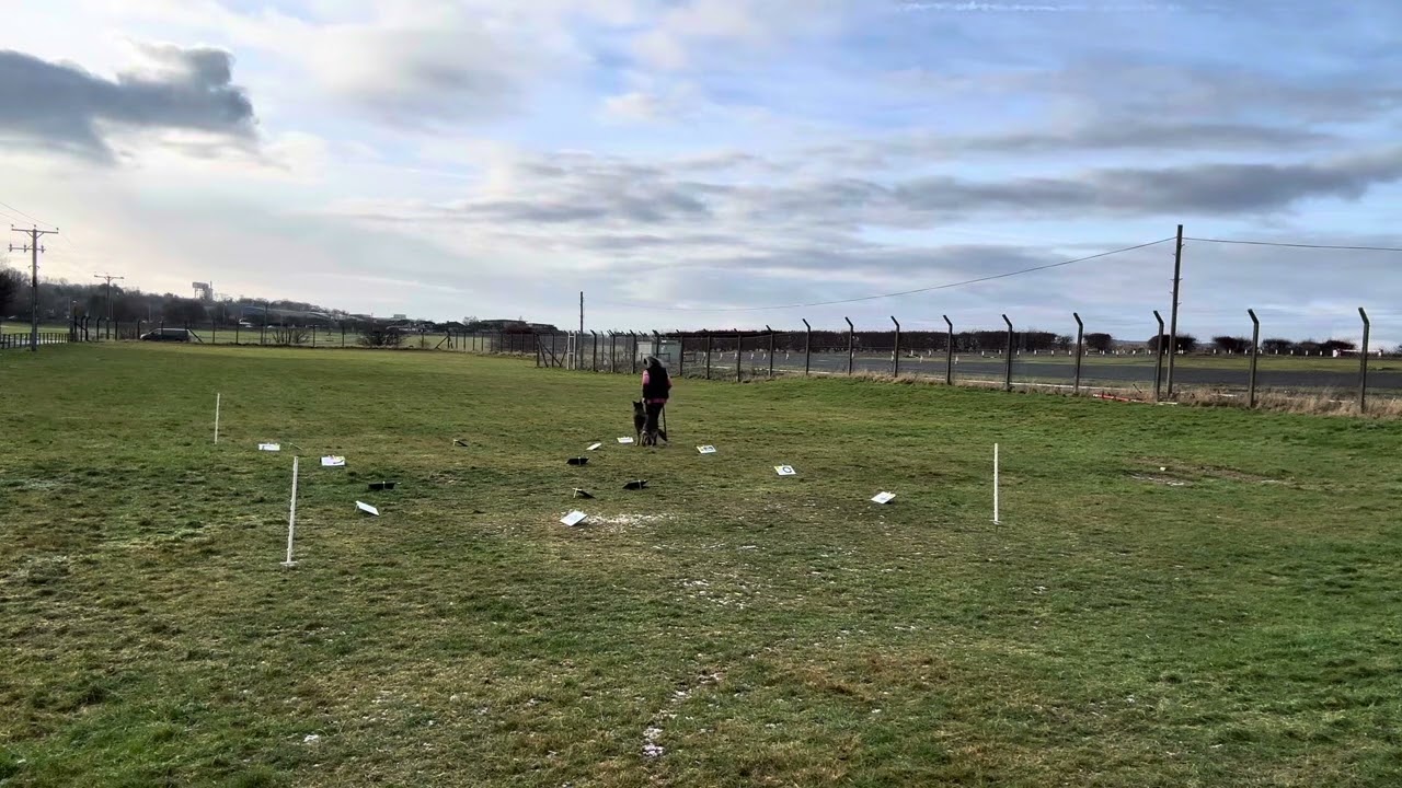 Lyra L2 Jan 25 for Sally