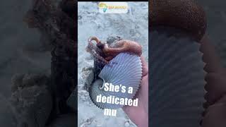Very special octopus mum! Animals Observation