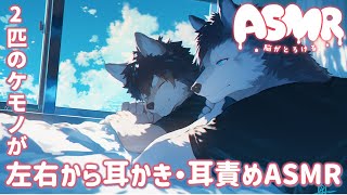【女性向けASMR】双子の獣人さんが左右同時に耳かき・耳責め【Binaural / 耳かき / 睡眠導入 / バイノーラル / シチュエーションボイス】