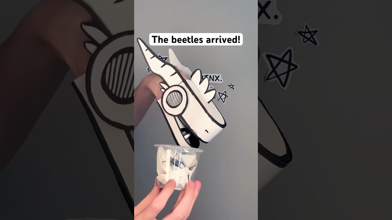 Beetle emojis in the comments? 🪲// 