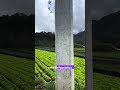 No es Suiza… es un valle agrícola en República Dominicana 🇩🇴