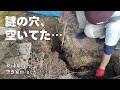 【空き家DIY】家の裏に小さな穴を見つけた日 …こんな事になっていたとは