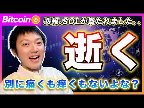 【悲報、SOL逝く】ビットコイン・教科書通りのSell The Fact！当然みなさんもキャッシュ比率を上げてるだろうから痛くも痒くもないでしょ？？【最新の仮想通貨分析を公開】