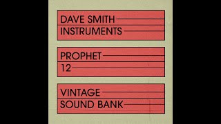 Famous Dave Smith Instruments Prophet-12 Vintage Sound Bank Net Worth