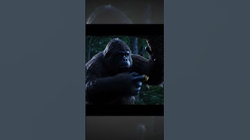 Bigfoot Mystery Solved – Canva AI and AI Video Generator Reveal Real Evidence 2025