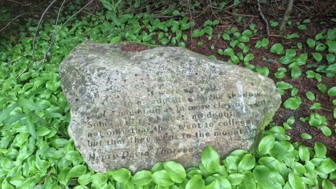 Mt. Greylock 🏔️ Adams, MA