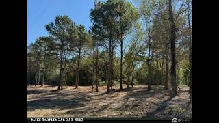 Lot 3 County Road 1497