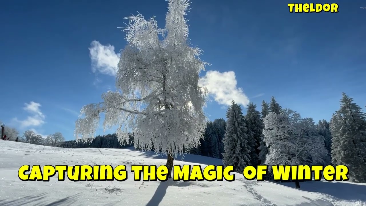 You Won't Believe How These Animals ADAPT to SNOW!