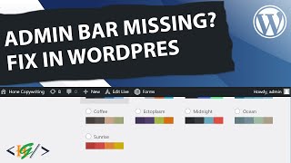 How to Fix the Missing Admin Bar on WordPress | Toolbar Not Showing