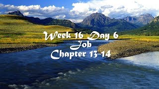 Audio Bible Reading Plan - Week 16 Day 6 (Job 13-14)