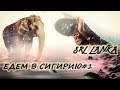 Шри Ланка. Едем на Сигирию. День #1. #srilanka