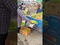 Compact foldable platform for daily work 🛠️🥬