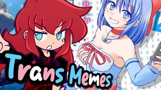 A fine Selection of Trans MEMES [r/traa & r/egg_irl] feat. @ShyarenCringe