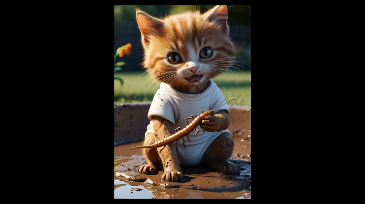Kitten eat worms....🤮🤢 #cartoon #catai #animation #cat #cutecats #animation