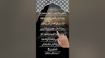 سورة التين بصوت هادئ يريح القلب 🌿 | تلاوة صباحية ومسائية تبعث الطمأنينة والسكينة | Soothing Quran