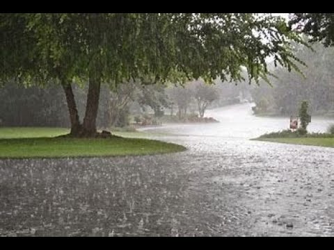 Rainy Days | Stop Selling Her Drugs