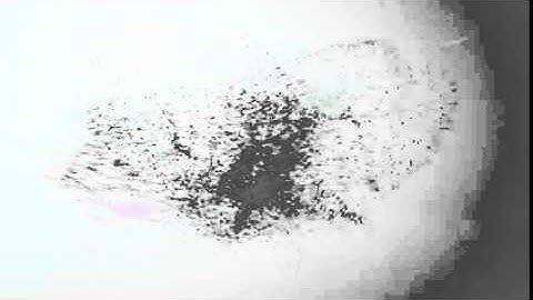 Particle Transition Opener After Effects Template