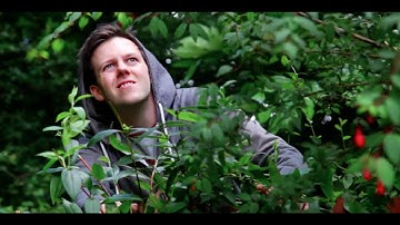 Dan Loops - Smile [Official Video]