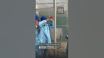 [DOCUMENTARY] GenZ & Một Nhà Xưởng Xanh | Câu chuyện của Giàu  #ghiennong #dalat #genZ