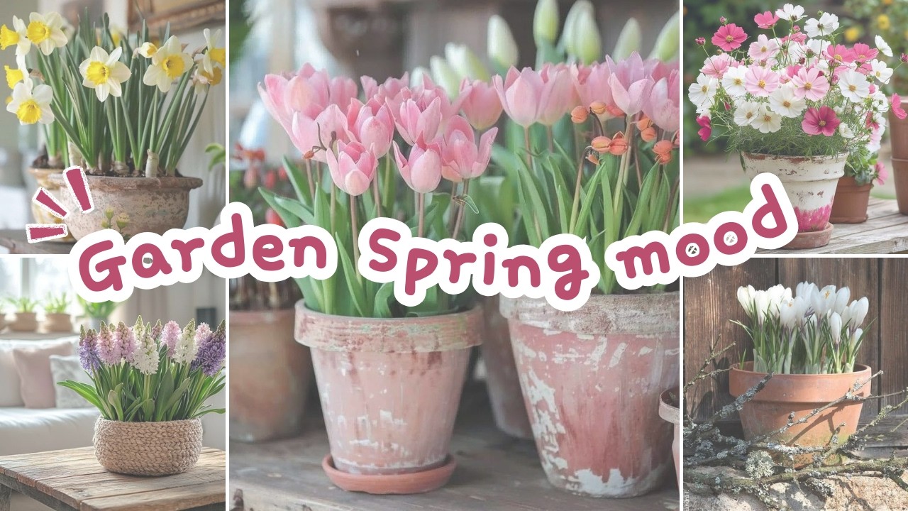Spring Bloom Inspiration in Your Garden - YouTube
