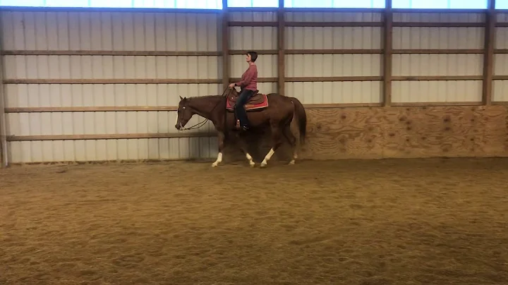Lila Horner & Docs Lopin Image #245, Novice W/T