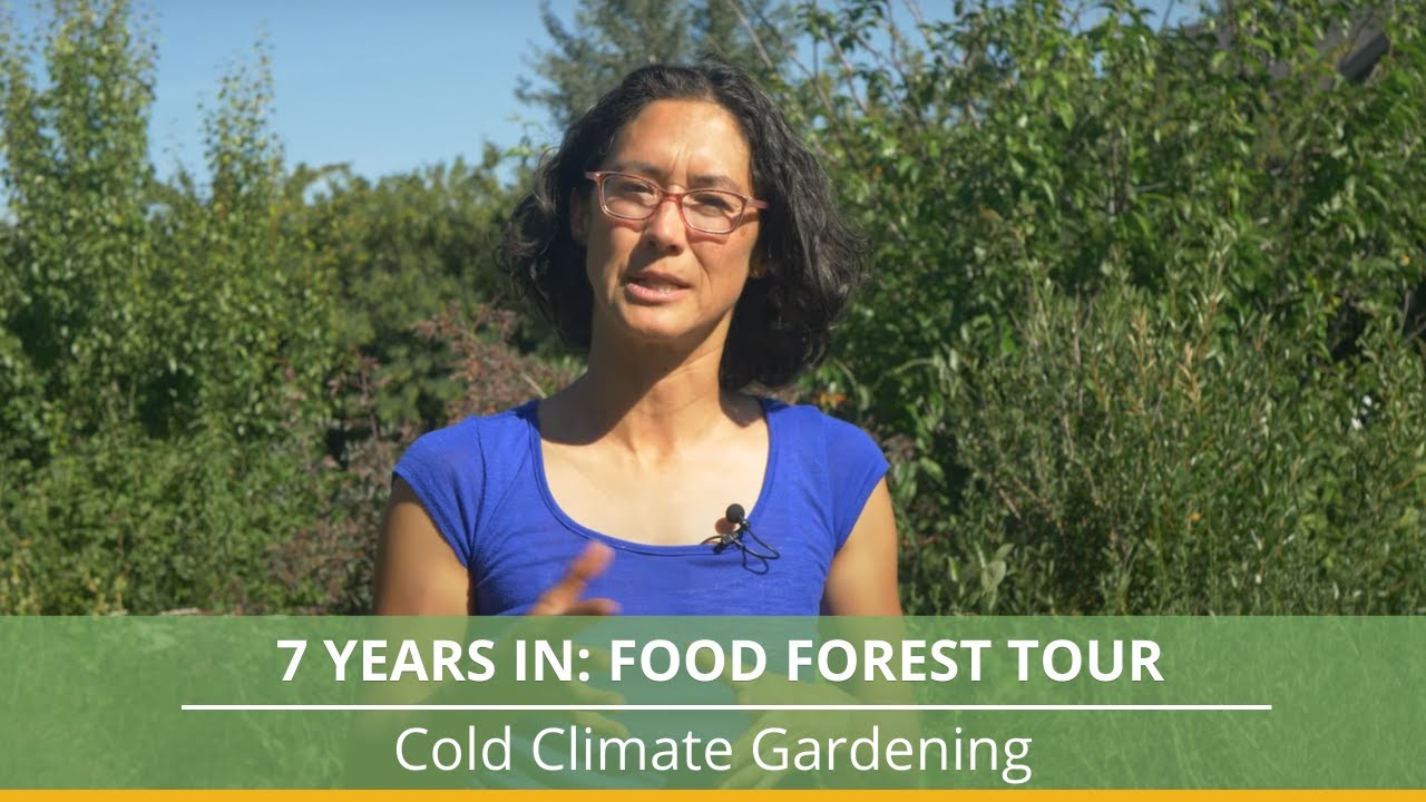 Cold Climate Food Forest Tour: 7 Years Later