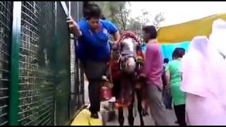 Video Lucu Orang Gendut Naik Kuda - Ngakak Abis