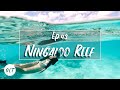 The BEST Snorkelling in Australia - Cape Range National Park & Exmouth - E43