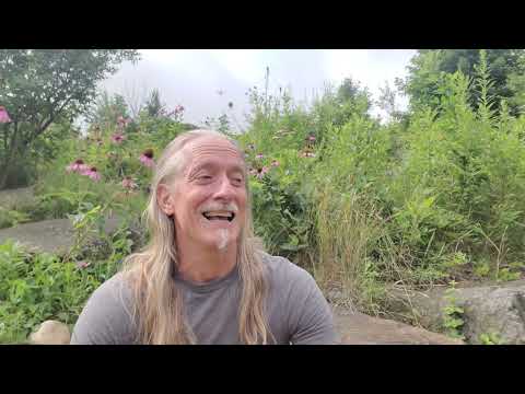 Introducing Lily's Channel, Touch Grass with Lily