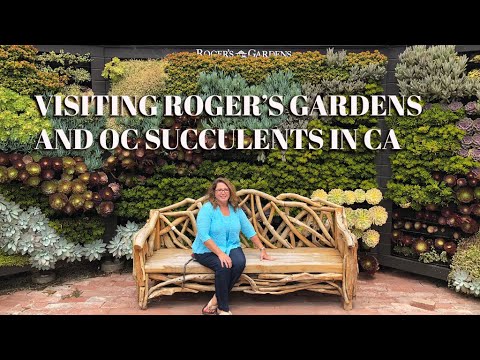 Succulent Nursery California Visiting Roger S Gardens And Oc Succulents You Succulent Nursery California Visiting