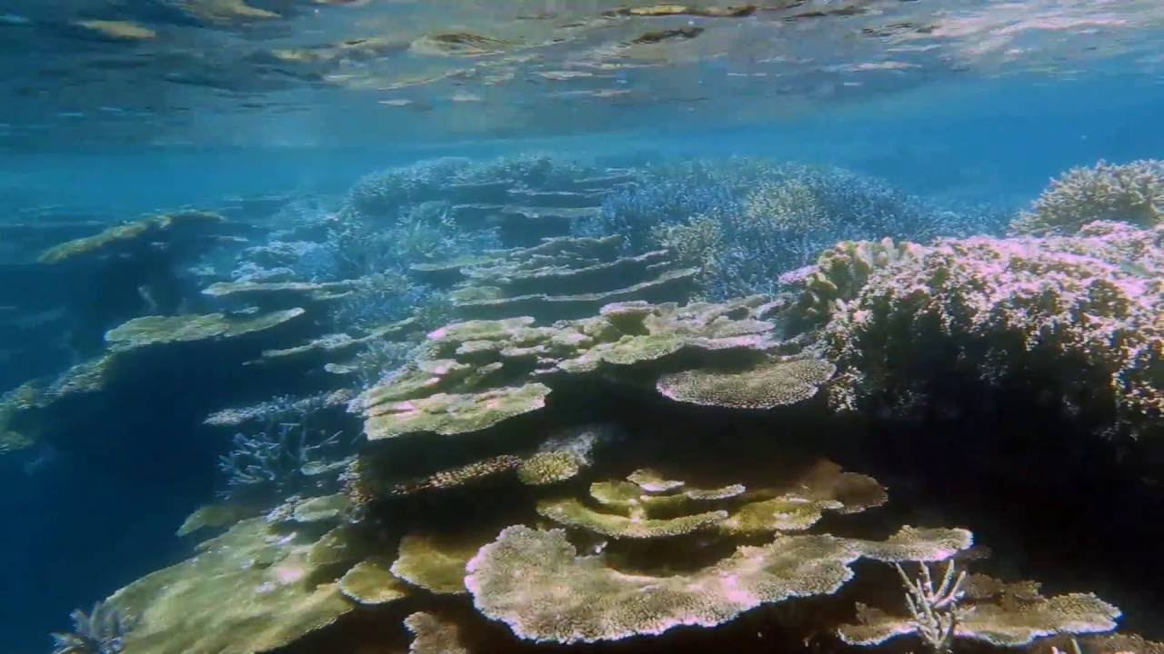 波照間島 ニシ浜ビーチ Youtube