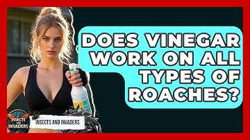 Does Vinegar Work On All Types Of Roaches? - Insects and Invaders