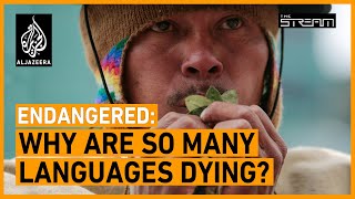 Endangered: Why are so many languages dying? | The Stream