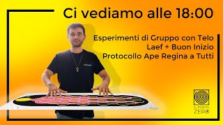 (-1) Group Experiments Telo Laef + Happy Start Protocol to All