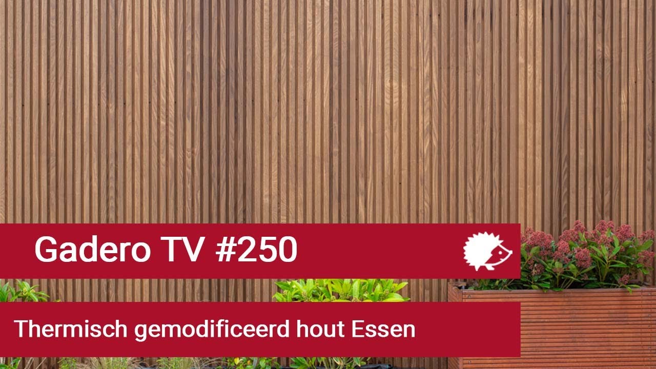 #250 Thermisch gemodificeerd hout Essen