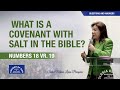 English What Is A Covenant With Salt In The Bible Numbers 18 19 Sr Maria Luisa Piraquive