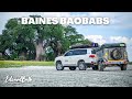 Baines Baobabs! Botswana Wet Season Epic! Episode 3!