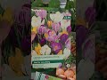 #gardening #greenhouse #gardencenter